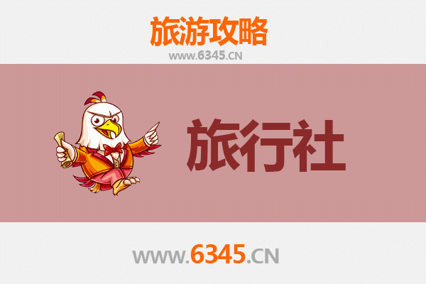 琼海大路镇本地旅行社推荐 | 深度游攻略与特色体验